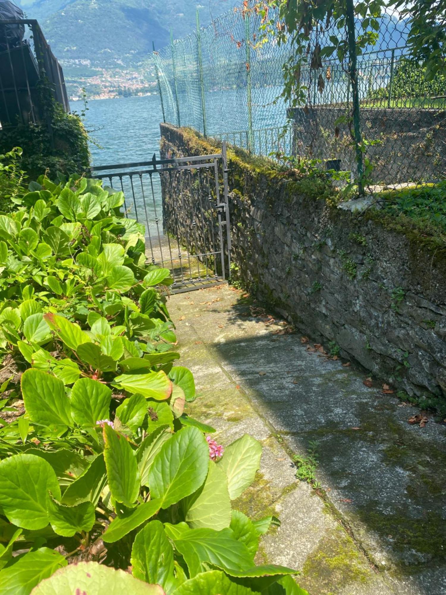 Peonia Apartment - Appartamento Vista Lago Lezzeno Exterior photo