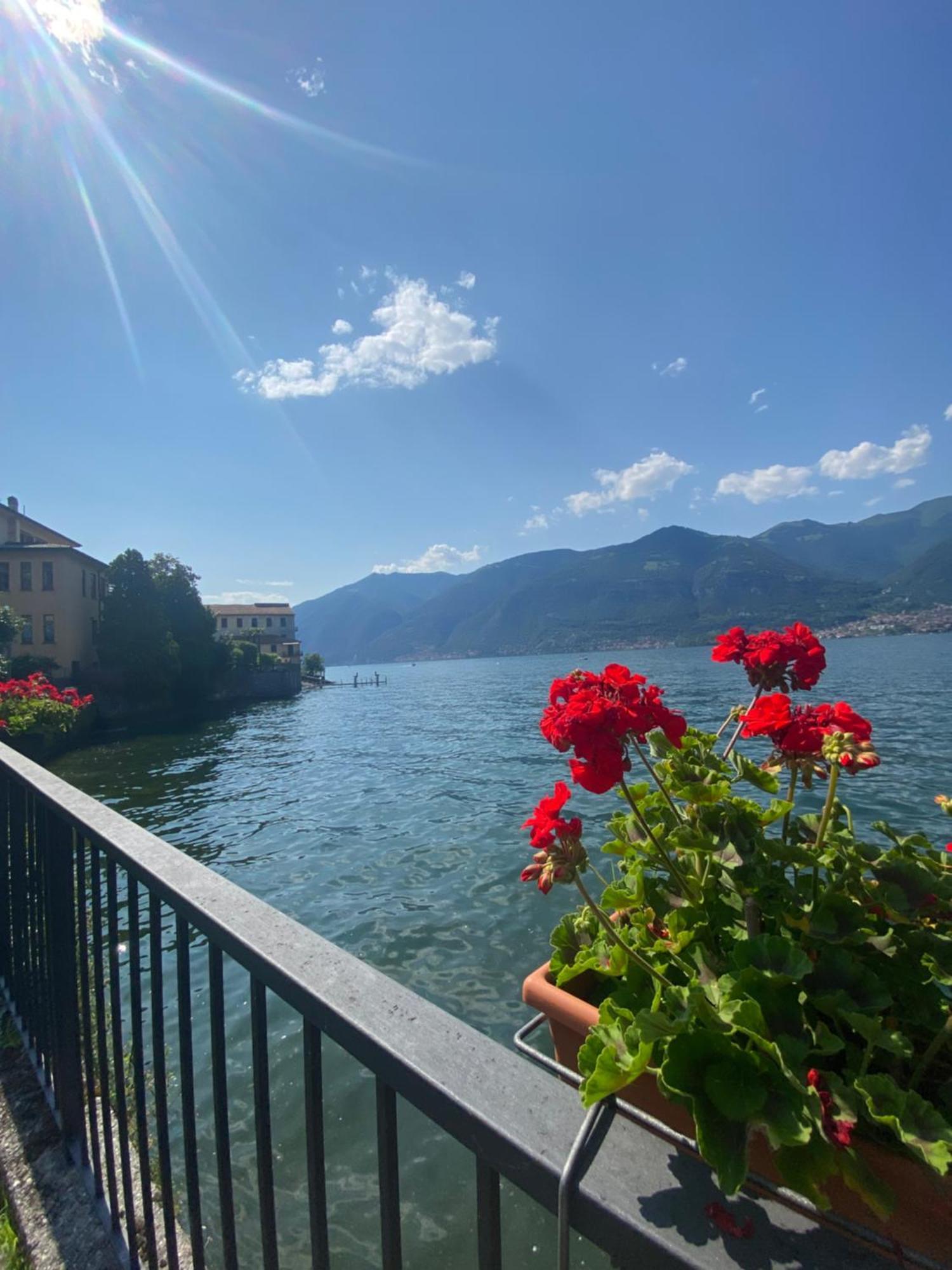 Peonia Apartment - Appartamento Vista Lago Lezzeno Exterior photo