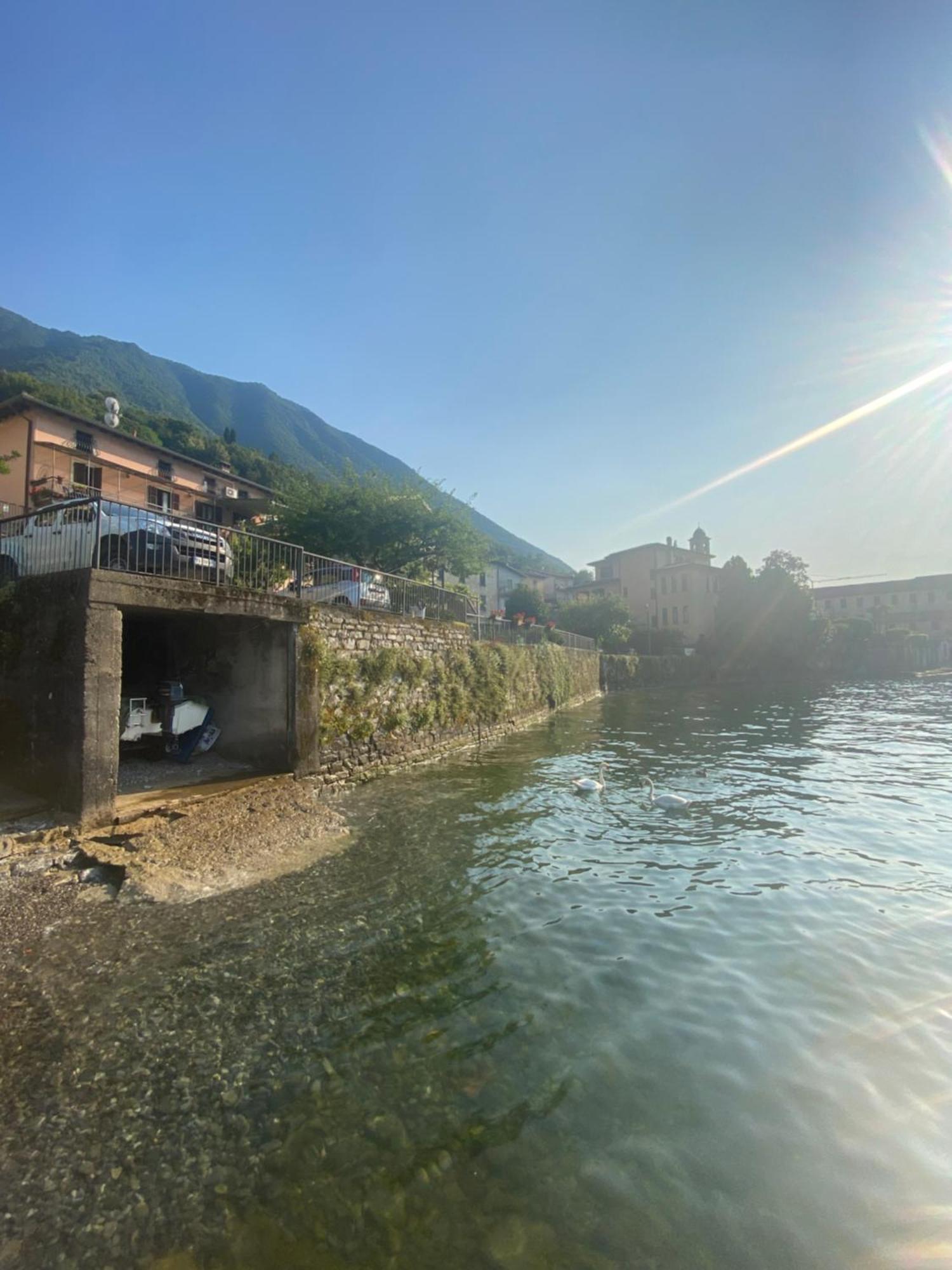 Peonia Apartment - Appartamento Vista Lago Lezzeno Exterior photo