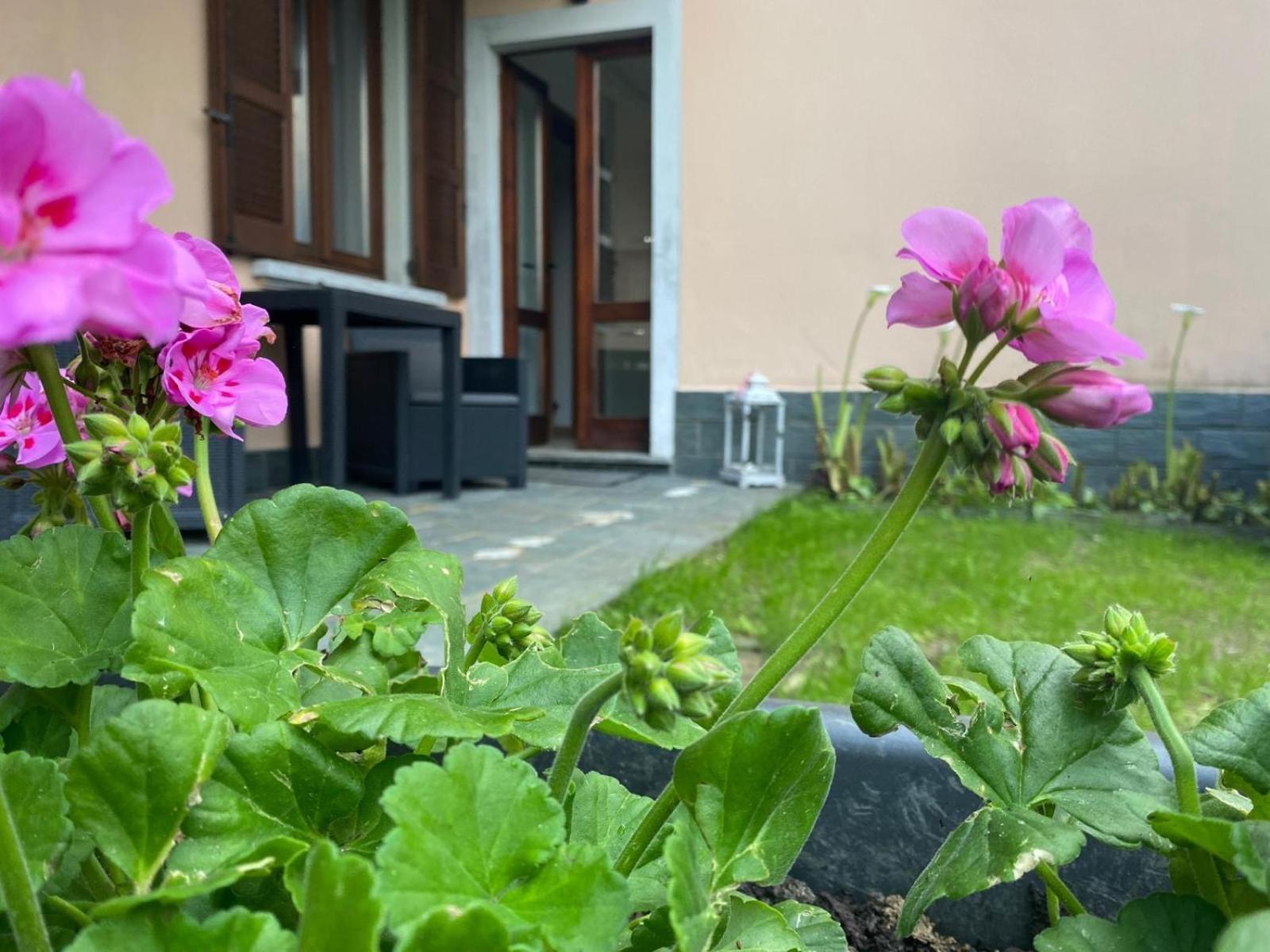 Peonia Apartment - Appartamento Vista Lago Lezzeno Exterior photo